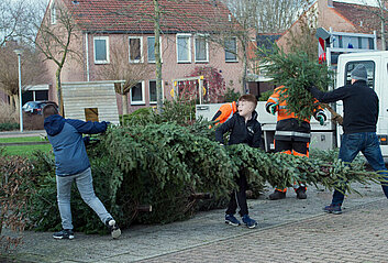 kinderen die kerstbomen inleveren